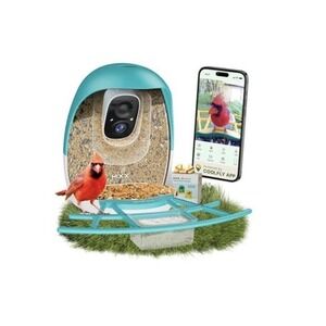 Smart Bird Feeder Camera WiFi AI Detection Night Vision App Controlled Outdoor